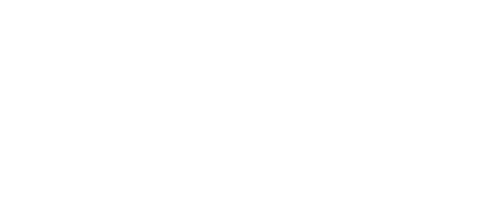 Bolt Talent