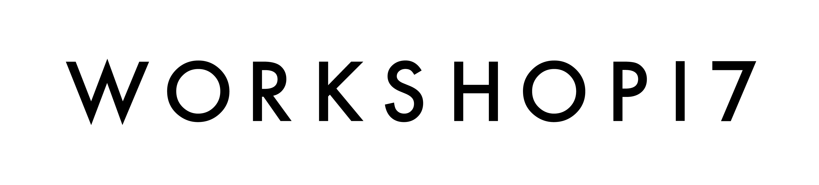 Workshop17
